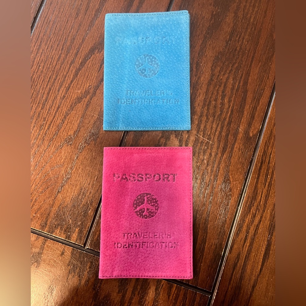 Transversion Set of 2 Suede Passport Holders